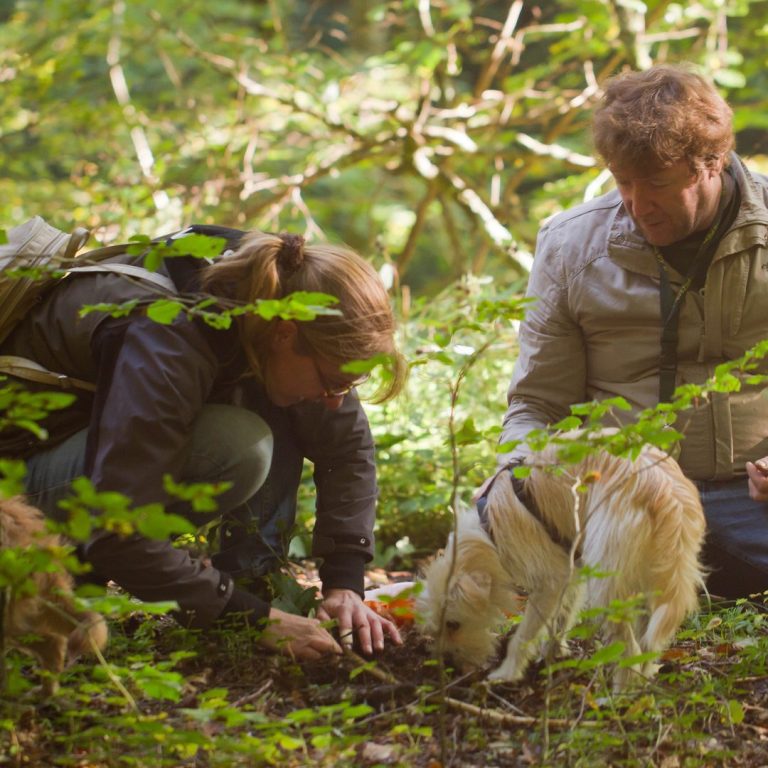 Trüffelforscher Sabine Hörnicke und Mykologe Dr. Lothar Krieglsteiner shen im Boden nach, was Hündin Milly gefunden hat.