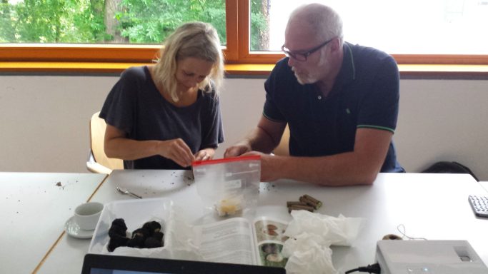 Martin und Ulla bauen Dummies für die ersten Übungen zur Trüffelsuche