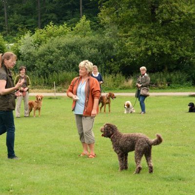 Seminargruppe bestehend aus Menschen mit Hunden. Die Trainerin Sabine erklärt einer Teilnehmnerin das Verhalten ihres Hundes