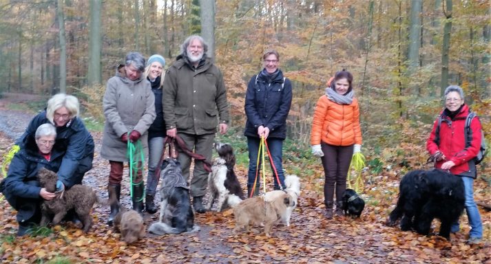 Gruppenfoto der Seminarteilnehmer in Eutin mit ihren Hunden. in der Mitte Trainerin Sabine Hörnicke mit Jule und Milly